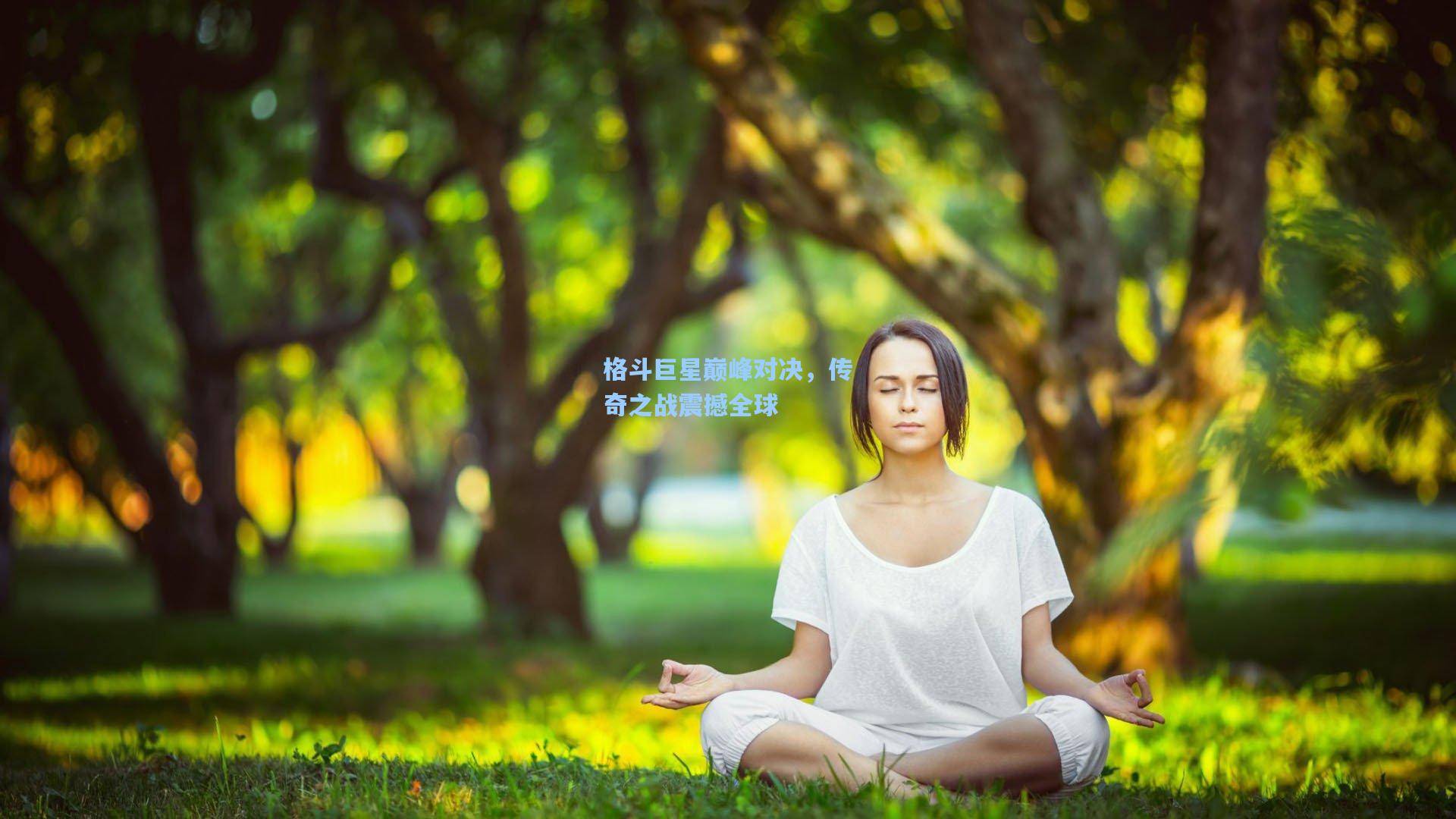 格斗巨星巅峰对决，传奇之战震撼全球