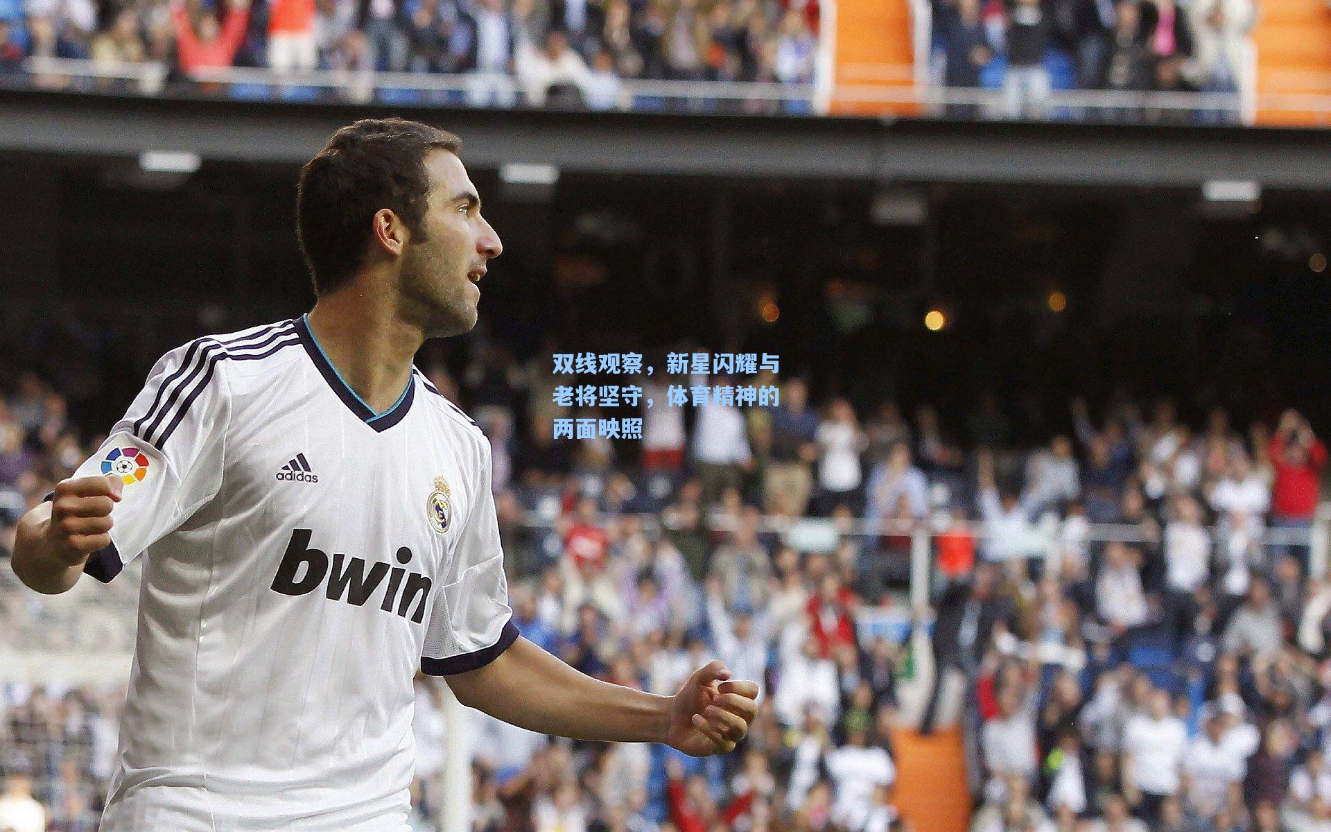 双线观察，新星闪耀与老将坚守，体育精神的两面映照